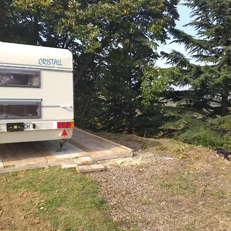Luxury tent Kamp Prikolica Vidmar